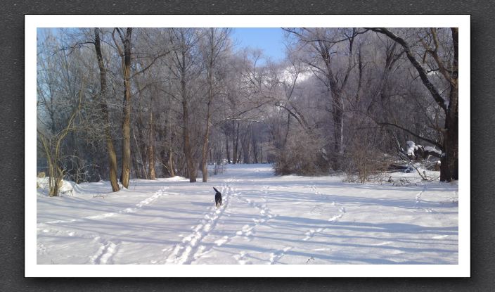 Winter 053