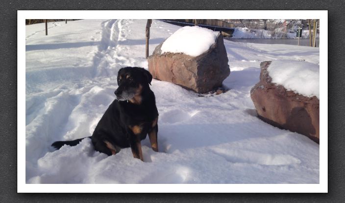 Winter 049