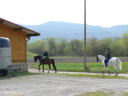 P1040352