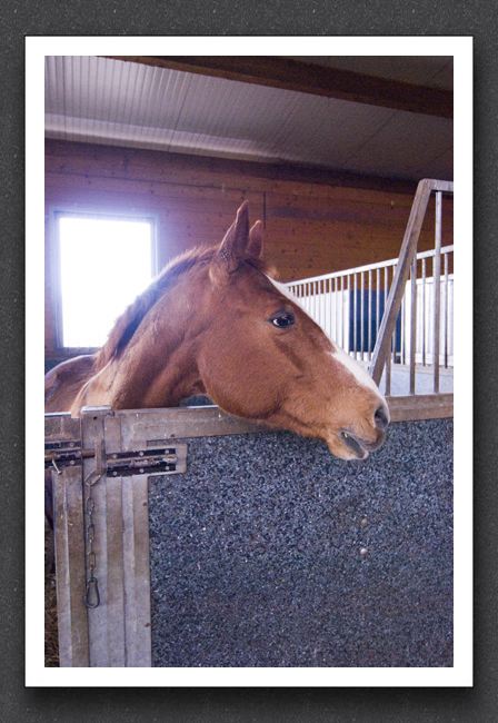 reitsport_MAR0053