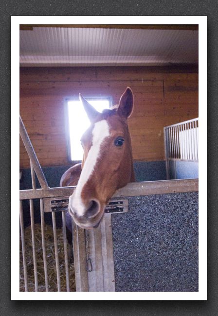 reitsport_MAR0055